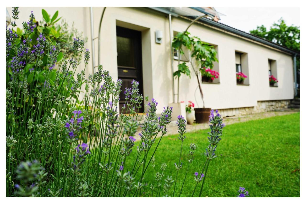 Ingrid'S Guesthouse Spittal Spittal an der Drau Bagian luar foto