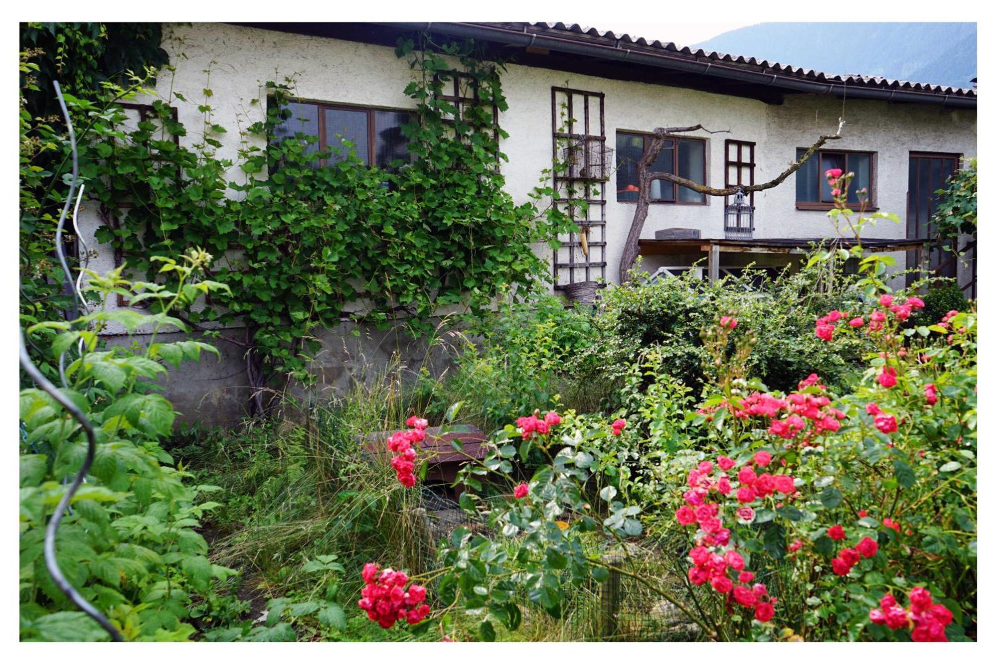 Ingrid'S Guesthouse Spittal Spittal an der Drau Bagian luar foto