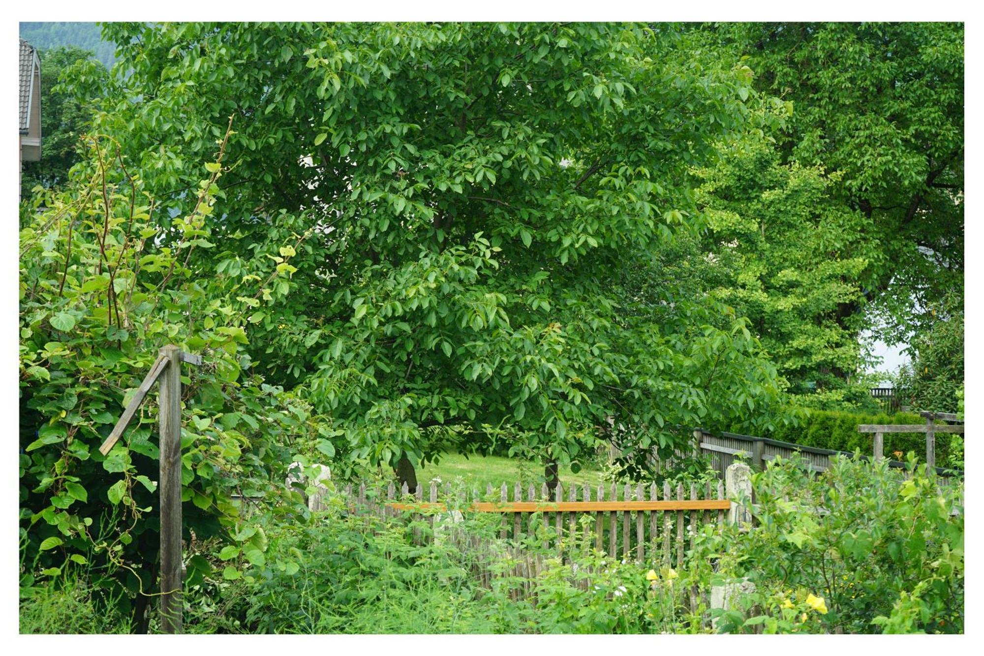 Ingrid'S Guesthouse Spittal Spittal an der Drau Bagian luar foto